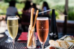 最后，总结黄健翔解说世界杯对足球界和观众的影响，展望未来。黄健翔解说世界杯