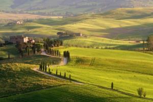 CBA才是中国篮球的正途,世界杯看多了别浪费时间看篮球不看世界杯看篮球